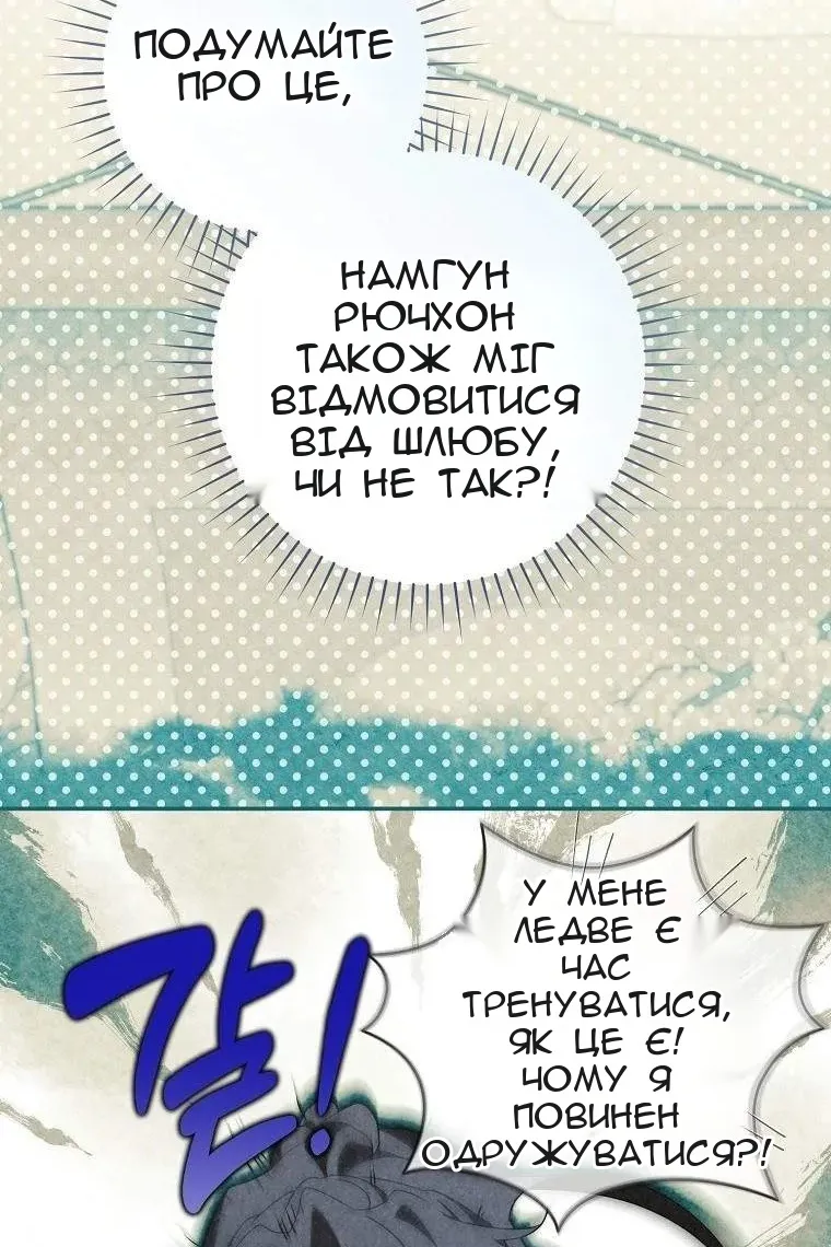 Сторінка 68