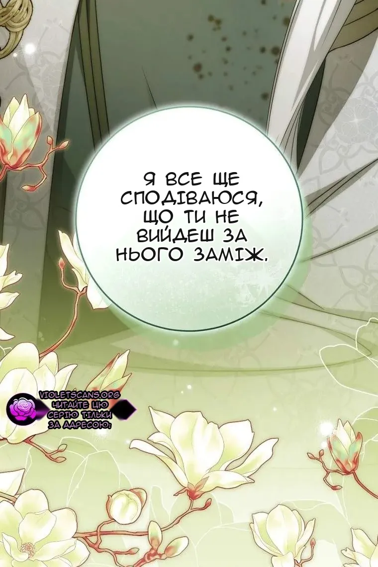 Сторінка 113
