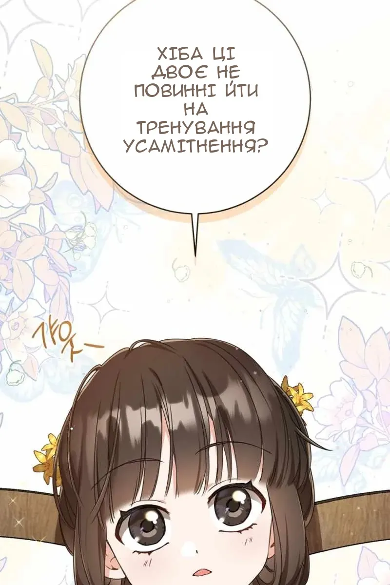 Сторінка 27