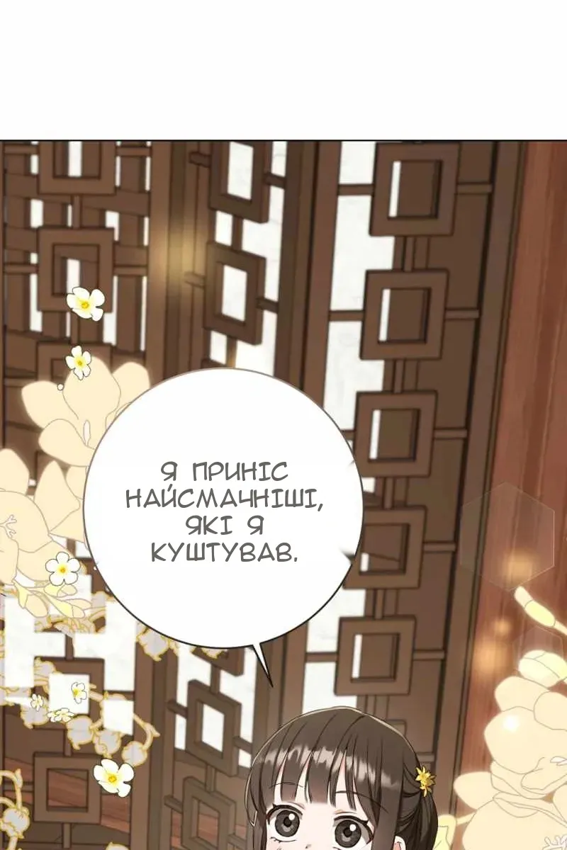 Сторінка 11
