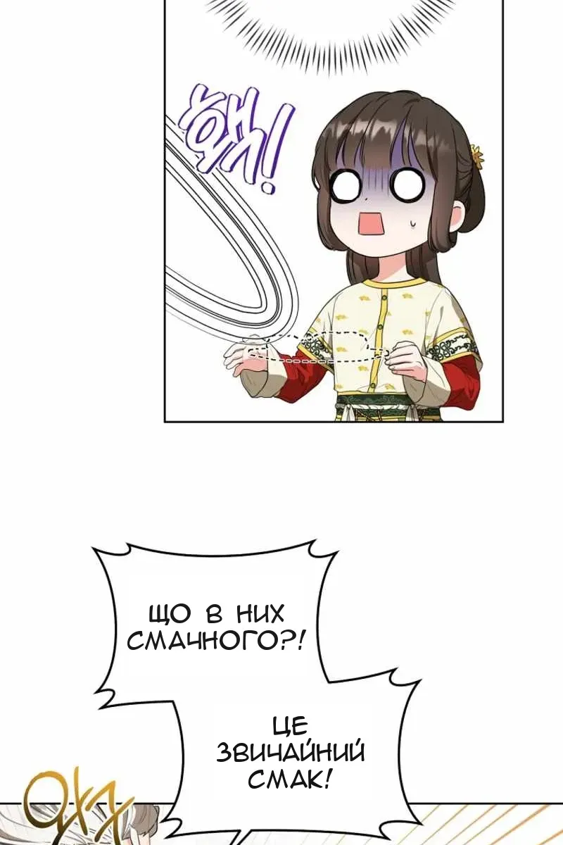 Сторінка 17