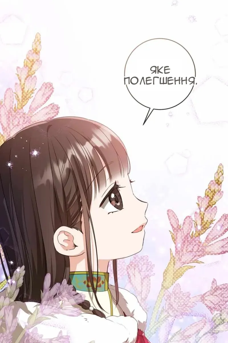 Сторінка 28