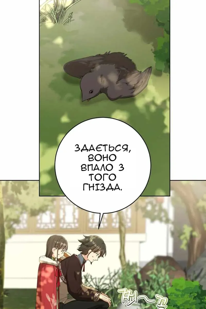 Сторінка 34