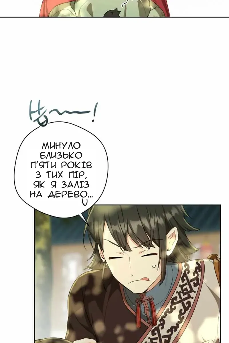 Сторінка 40