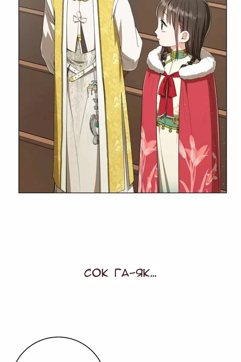 Сторінка 8