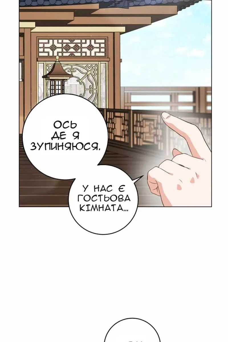 Сторінка 23