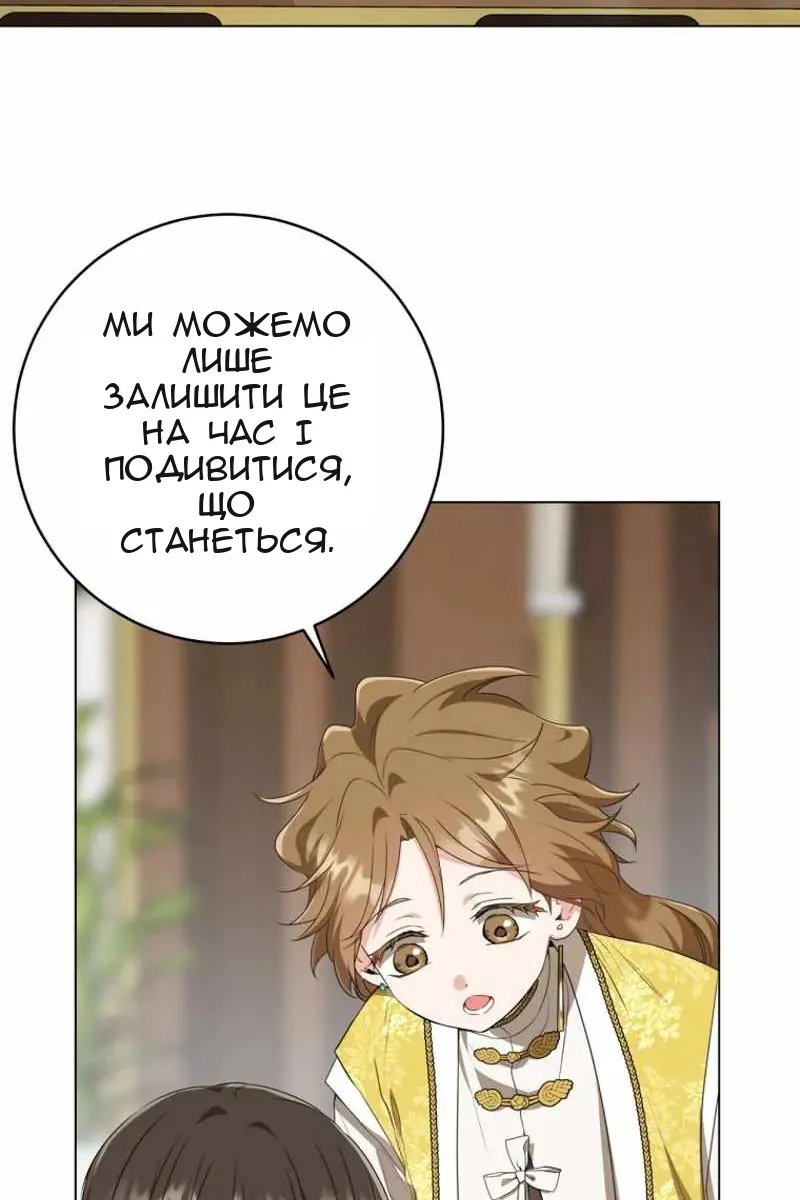 Сторінка 31
