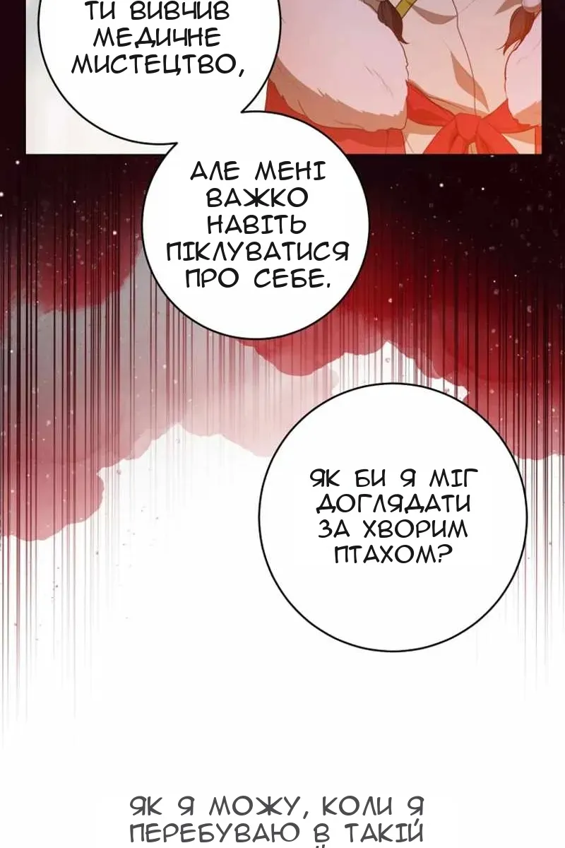 Сторінка 38