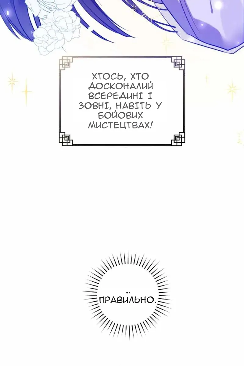 Сторінка 27