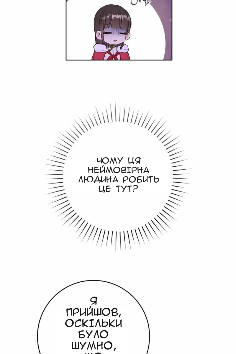 Сторінка 17
