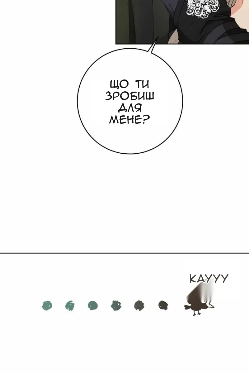 Сторінка 6