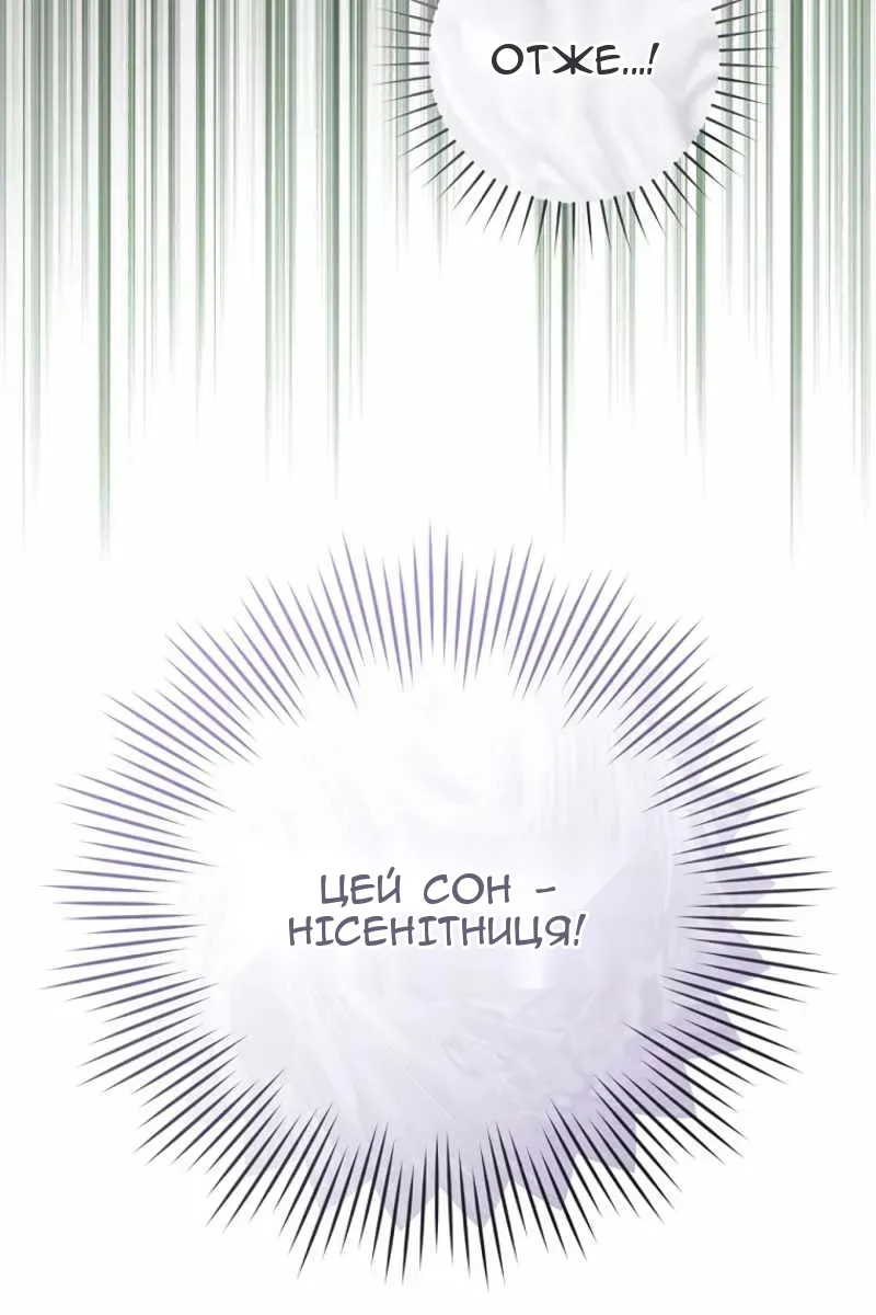 Сторінка 6
