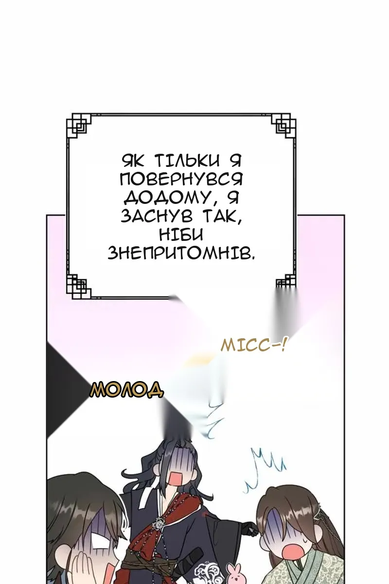 Сторінка 17