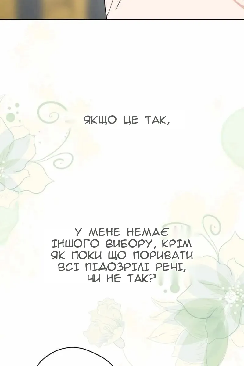 Сторінка 41