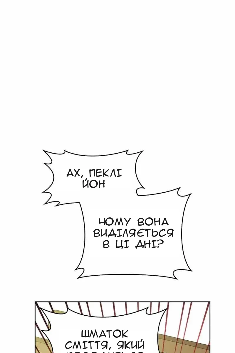 Сторінка 17
