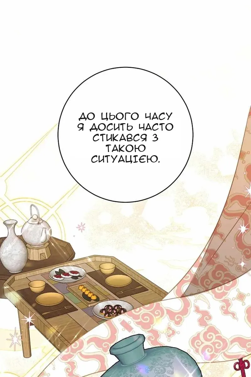 Сторінка 29
