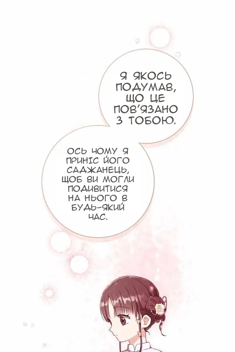 Сторінка 40