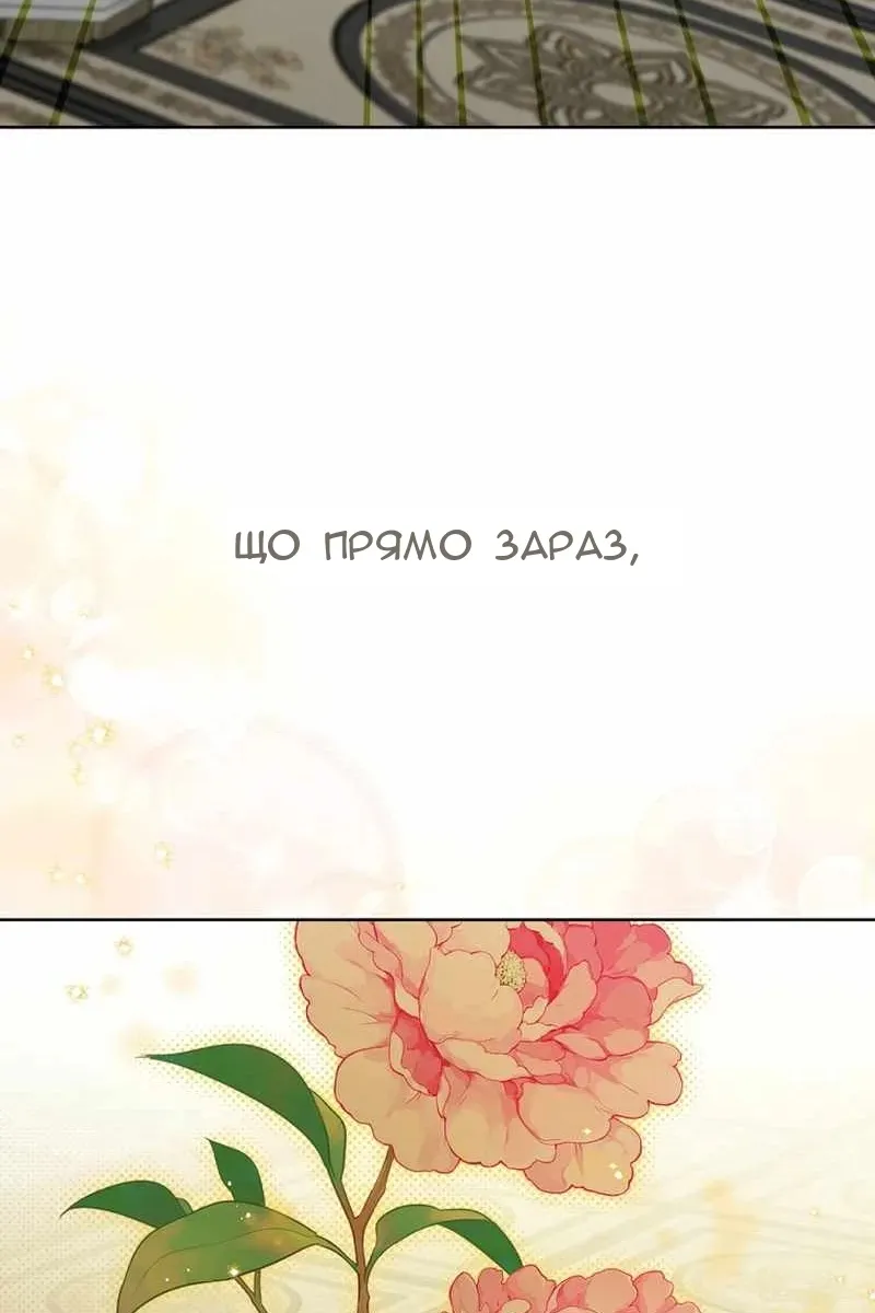 Сторінка 47