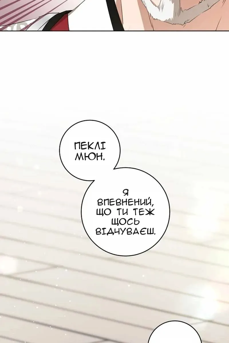 Сторінка 81