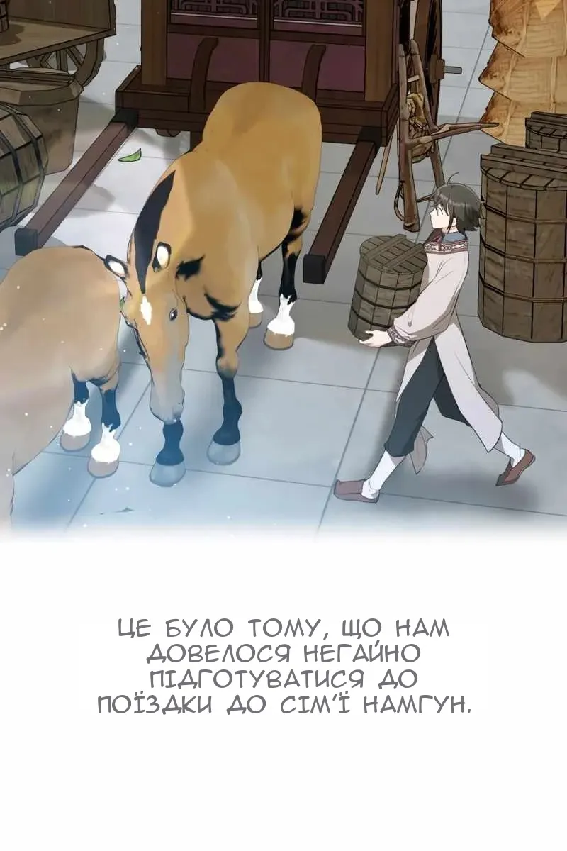 Сторінка 5