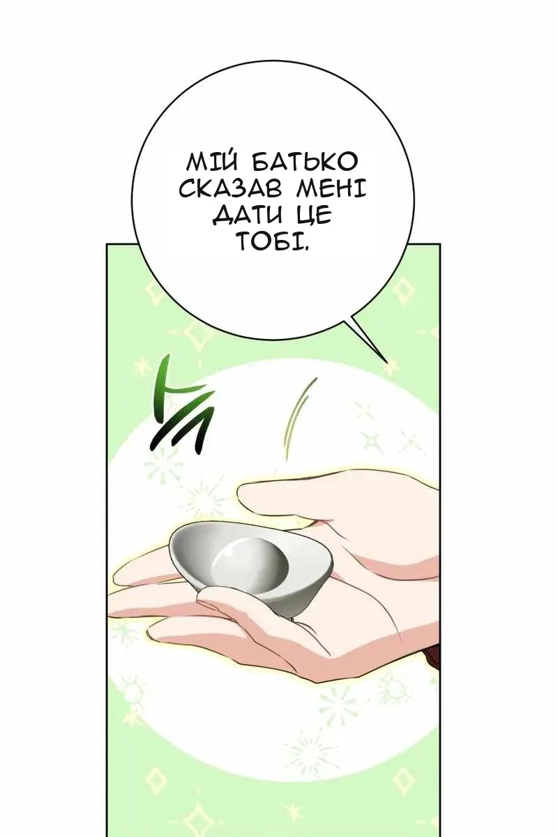 Сторінка 29