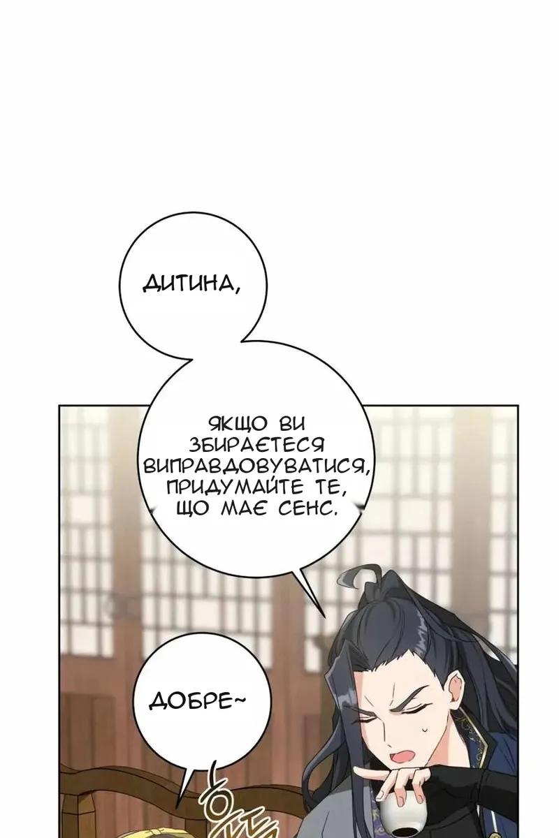 Сторінка 29