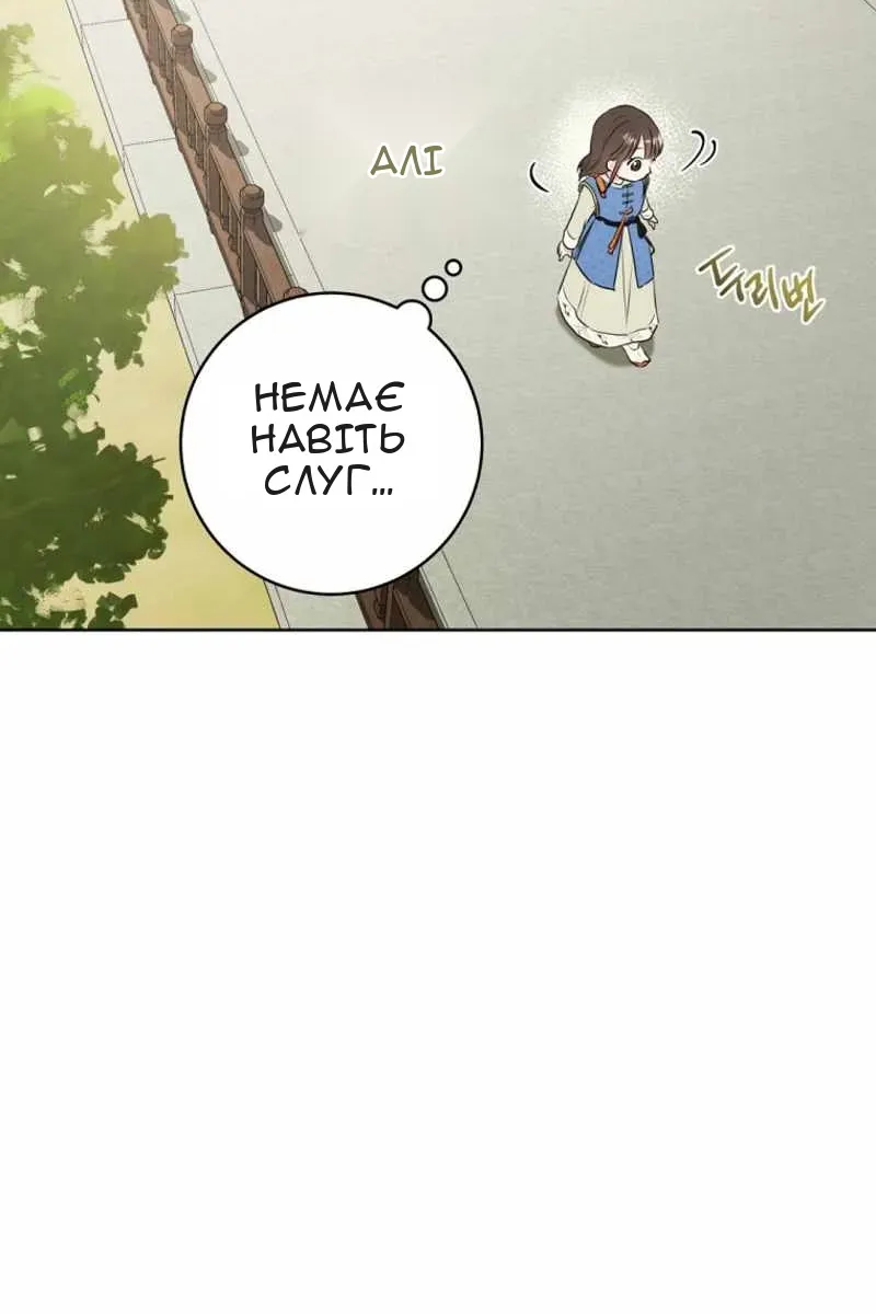 Сторінка 41