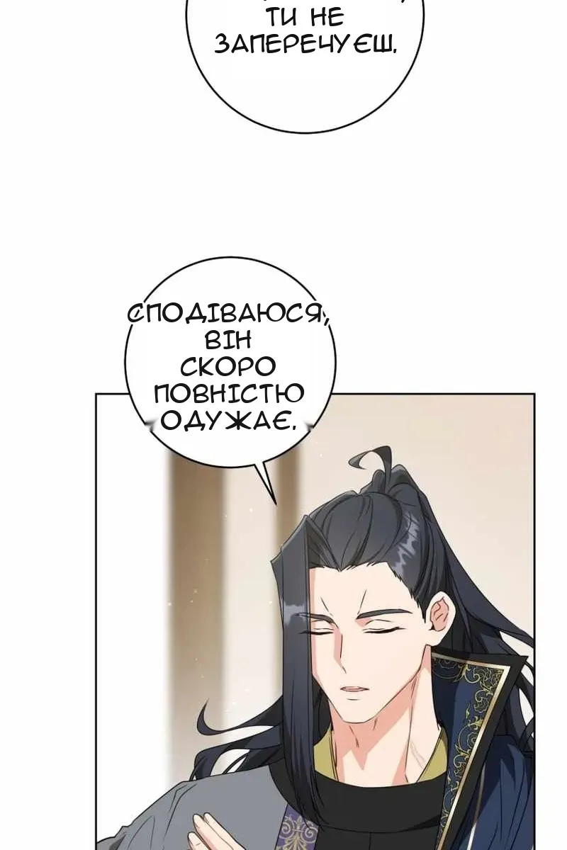 Сторінка 31
