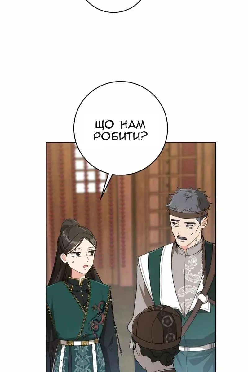 Сторінка 11
