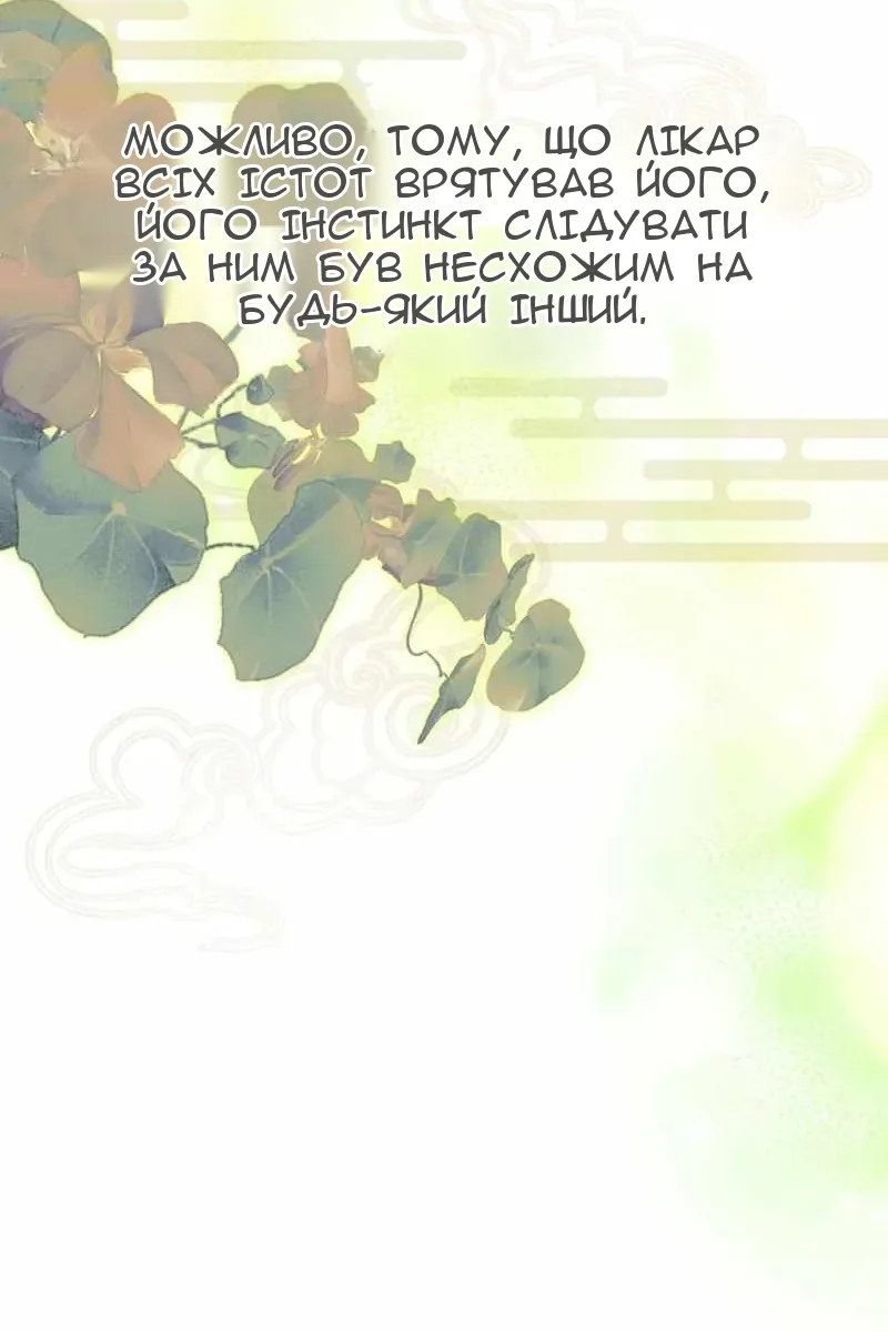 Сторінка 37