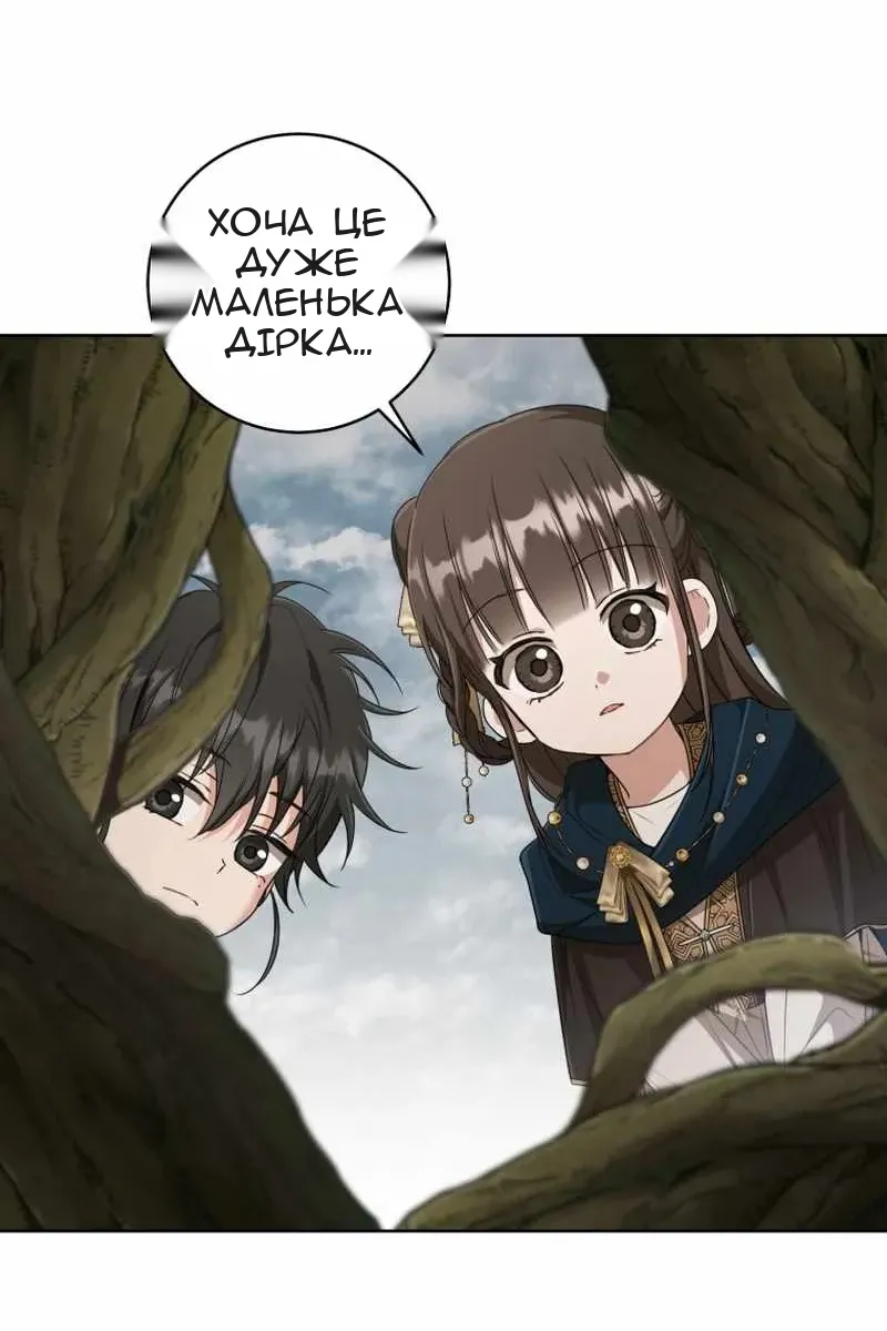 Сторінка 43