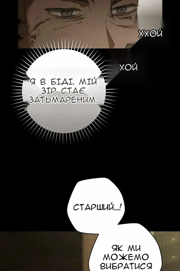 Сторінка 43
