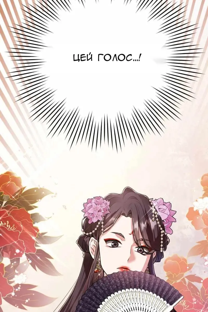Сторінка 6
