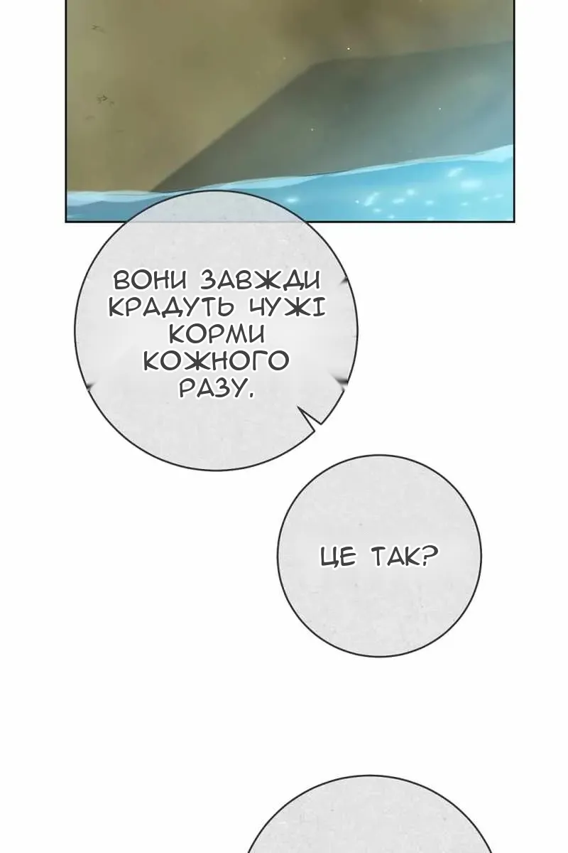 Сторінка 8