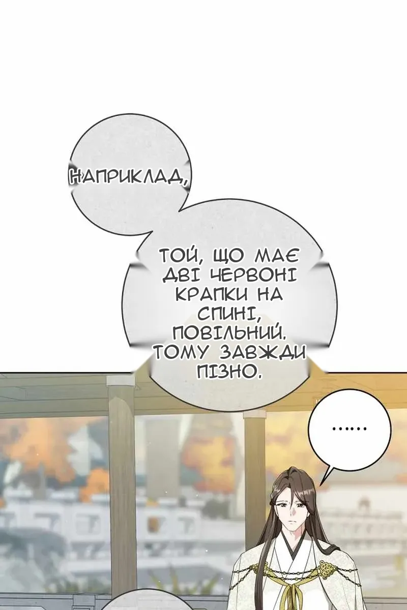 Сторінка 10