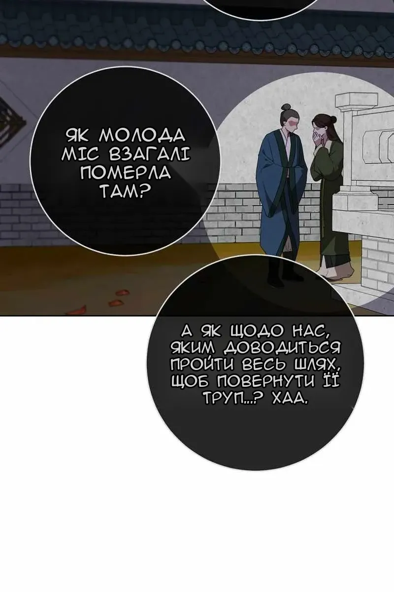 Сторінка 17
