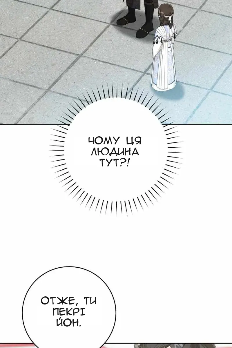 Сторінка 13