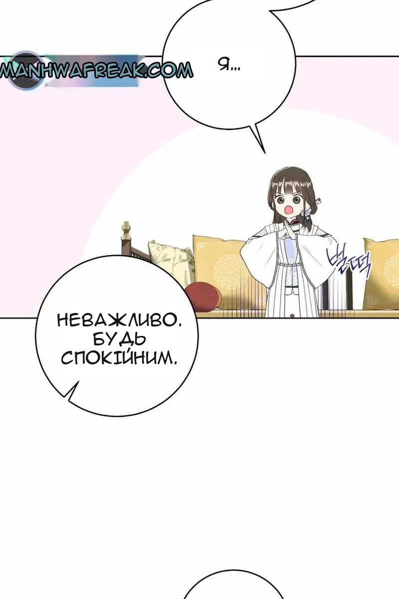 Сторінка 27