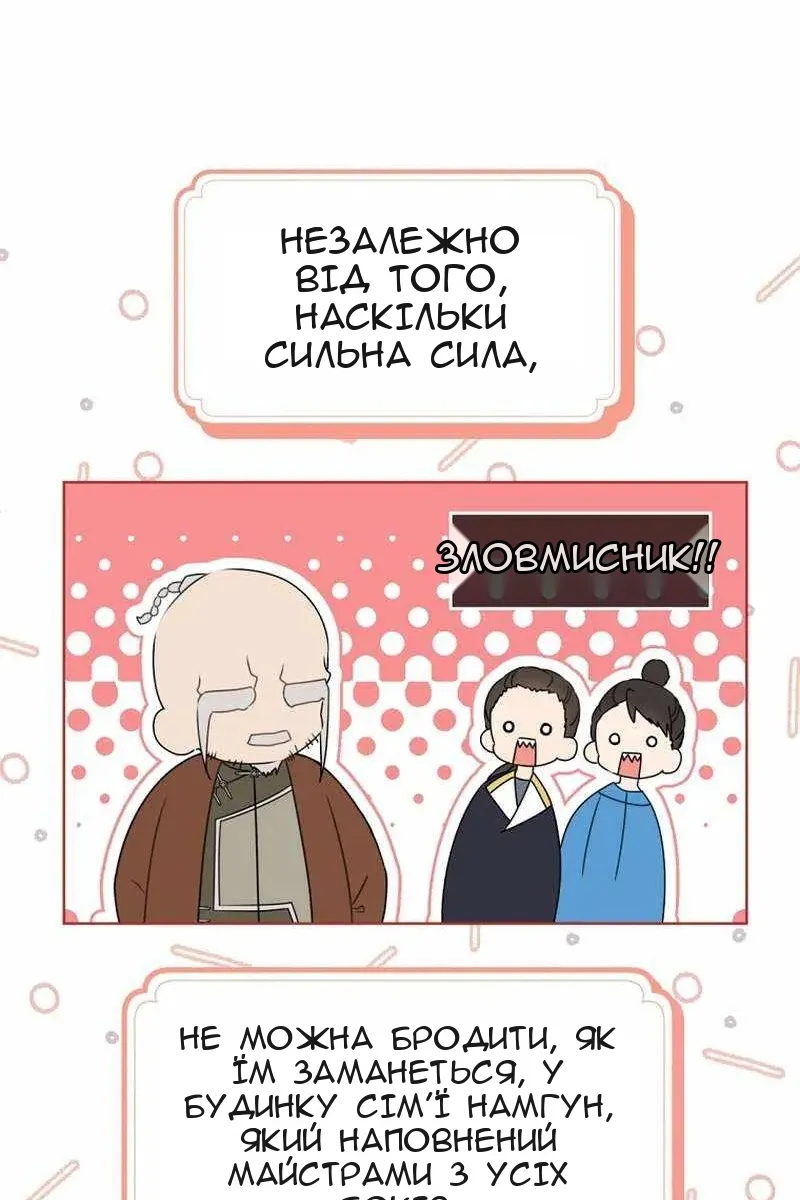 Сторінка 17