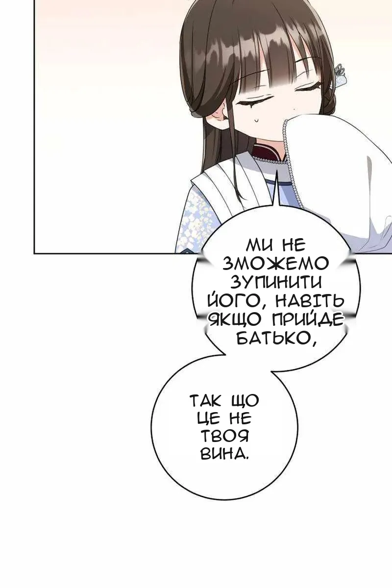 Сторінка 29