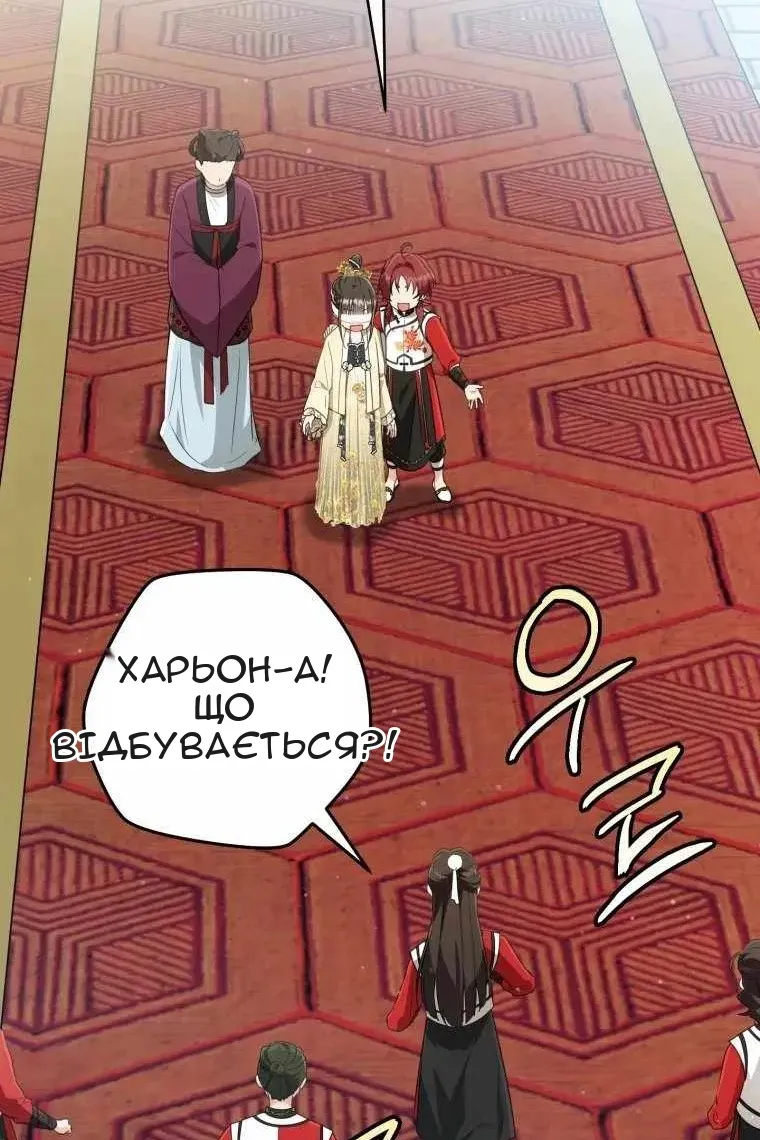 Сторінка 17