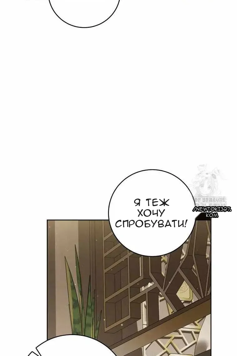 Сторінка 24
