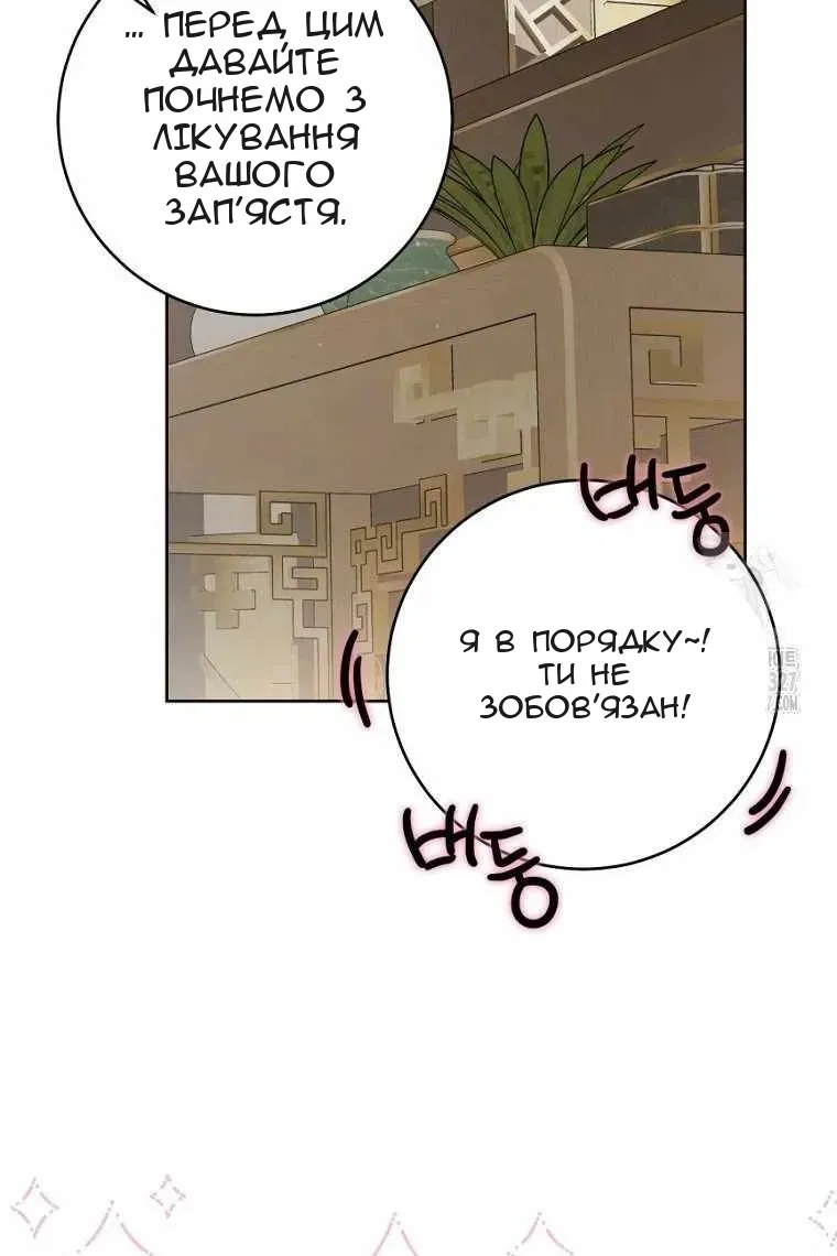 Сторінка 25