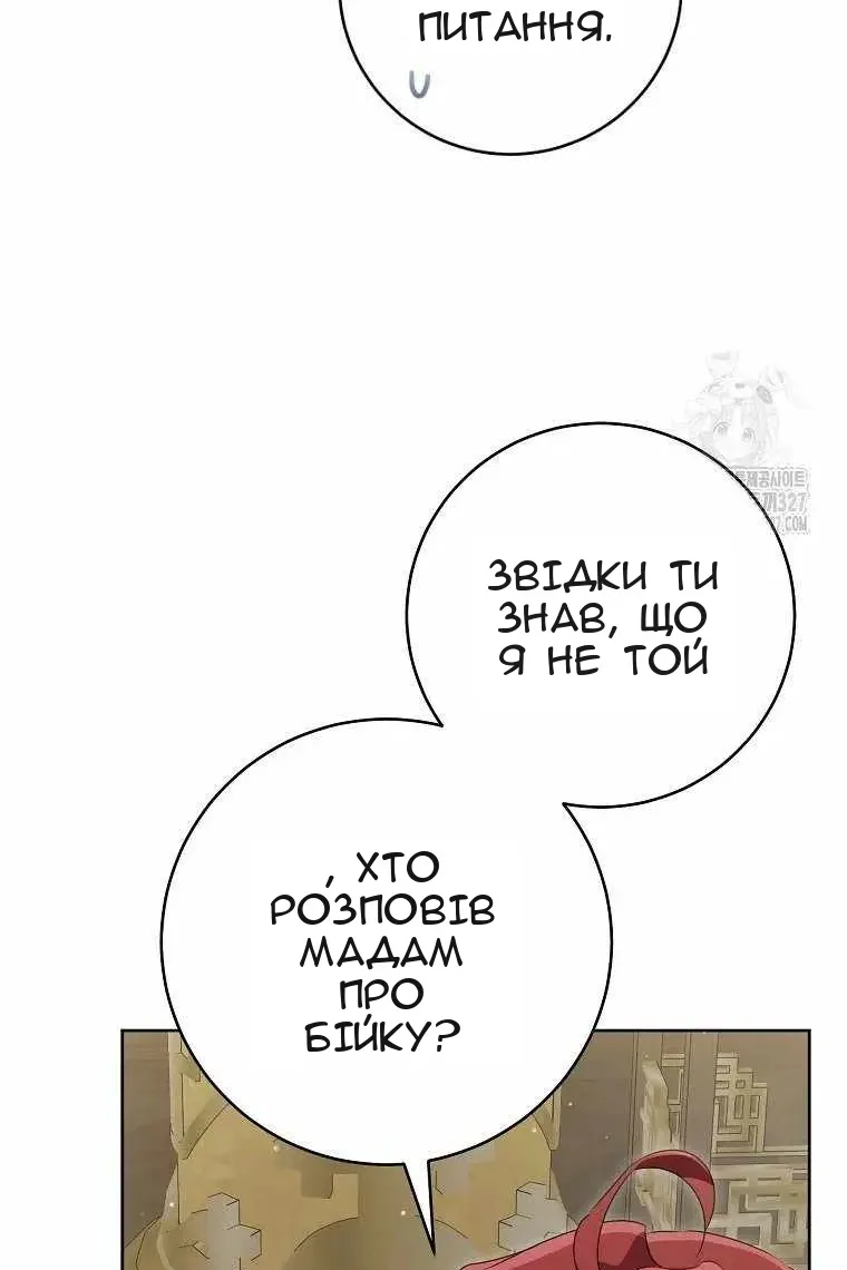 Сторінка 29