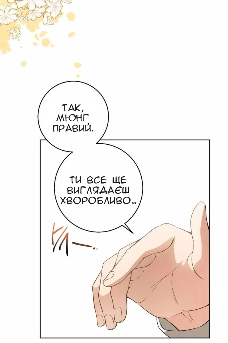 Сторінка 33