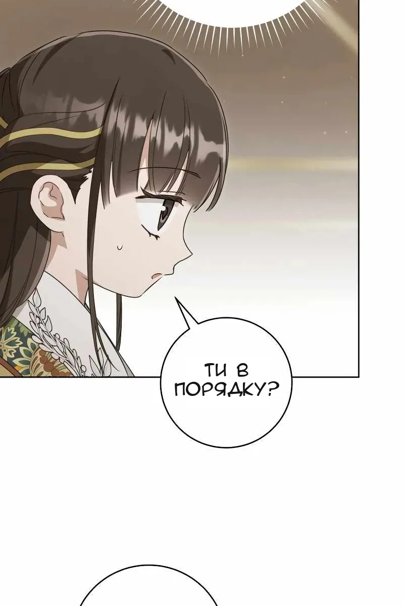 Сторінка 41