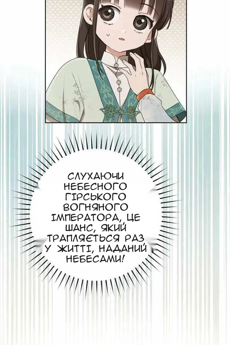 Сторінка 28