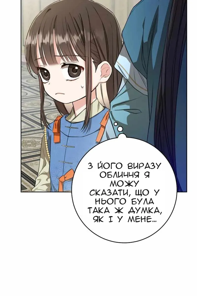 Сторінка 29
