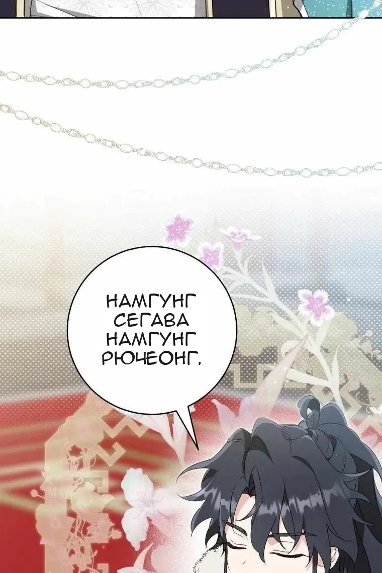 Сторінка 25