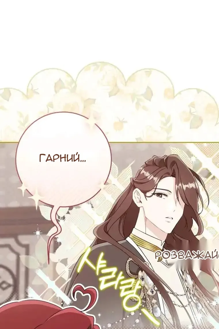 Сторінка 25